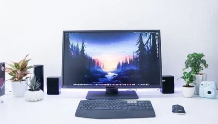 how-to-plug-monitor-into-graphics-card-easy-guide-monitorplex