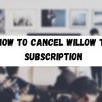 How to Cancel Willow TV Subscription