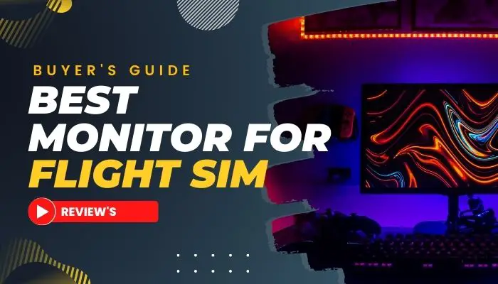 Monitor for Flight Sim